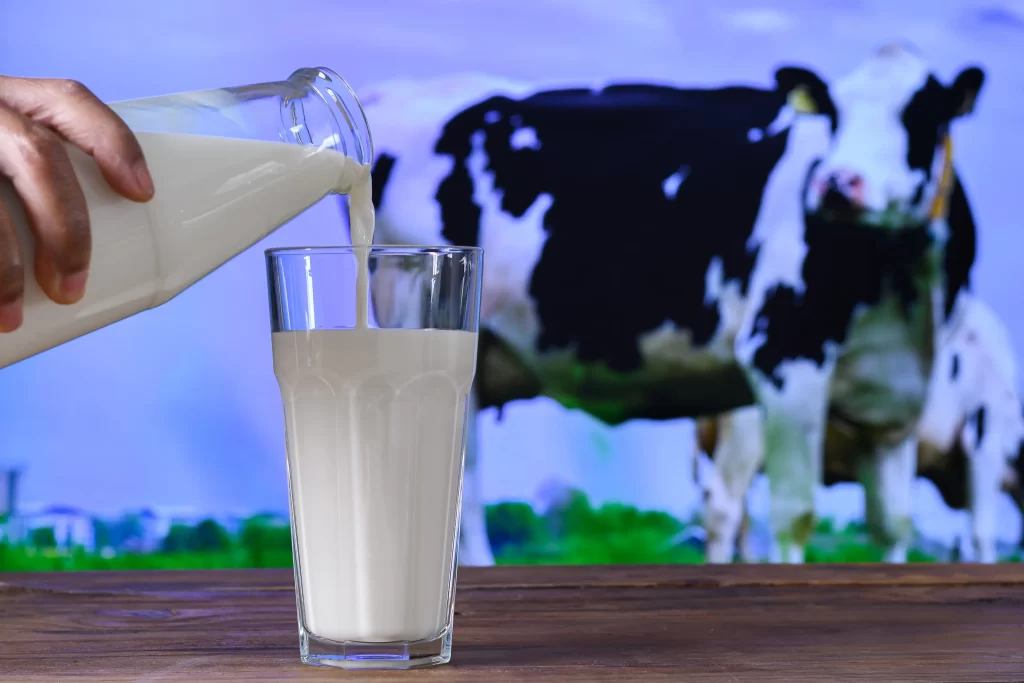 Cowbell Milk Overall Well-being Benefits