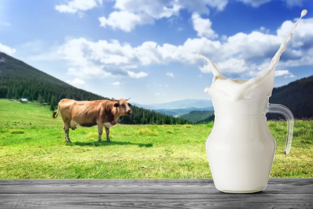 Sustainability in Dairy Farming