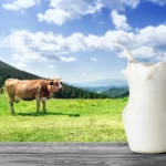 Sustainability in Dairy Farming